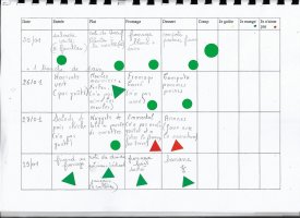 Cahier cantine AESH - Fiche de suivi repas - comportement - exemple 2